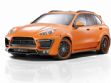 Cayenne 958